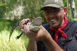 Baby Gator