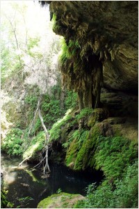 Westcave Preserve 2