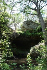 Westcave Preserve