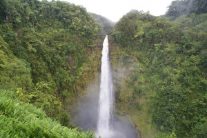 Akaka Falls State Park