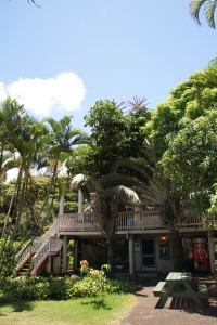 BackPackers Hawaii Hostel