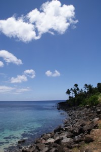 Badning ved Waimea Beach