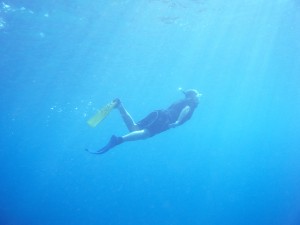 Dykning ved Waimea Beach