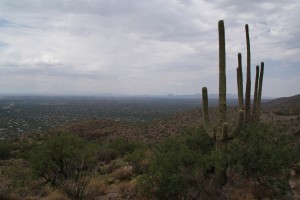Udsigten ud over Tucson