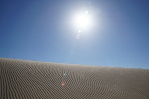 Monahans Sandhills State Park