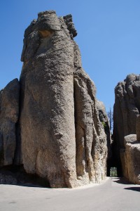 Needles tunnel