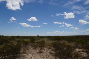 Prærien i Texas