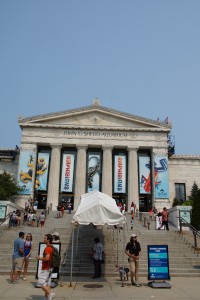 Shedd Aquarium