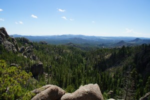 Udsigten fra Needles Highway