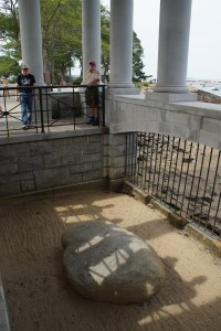 Selveste Plymouth Rock