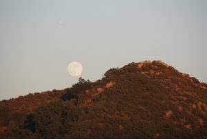 Månen står op bag Mount Hollywood