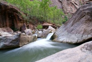 The Virgin River