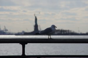 Udsigten fra Battery Park