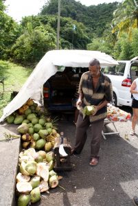 Kokosnød sælger i vejkanten